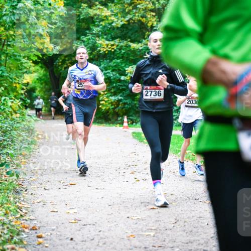 12.10.2025 - Bramfelder Halbmarathon 2025 Dr. Thomas Lammeyer http://msf.ph/oto/9352656 12.10.2025 10:44:25 Laufen 253, 2736, 2036, 2649 meine-sportfotos.de