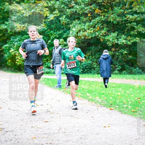 12.10.2025 - Bramfelder Halbmarathon 2025 Dr. Thomas Lammeyer http://msf.ph/oto/9352674 12.10.2025 10:44:28 Laufen 258, 2012 meine-sportfotos.de