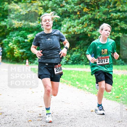 12.10.2025 - Bramfelder Halbmarathon 2025 Dr. Thomas Lammeyer http://msf.ph/oto/9352680 12.10.2025 10:44:29 Laufen 40, 258, 2012 meine-sportfotos.de