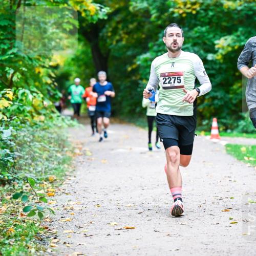 12.10.2025 - Bramfelder Halbmarathon 2025 Dr. Thomas Lammeyer http://msf.ph/oto/9352713 12.10.2025 10:44:35 Laufen 2275, 2241 meine-sportfotos.de