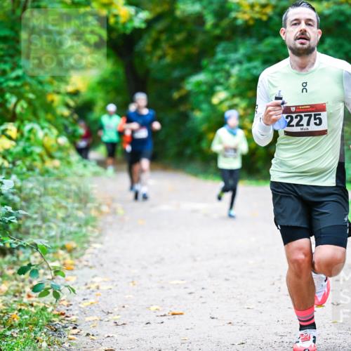 12.10.2025 - Bramfelder Halbmarathon 2025 Dr. Thomas Lammeyer http://msf.ph/oto/9352719 12.10.2025 10:44:36 Laufen 50, 34, 2275 meine-sportfotos.de