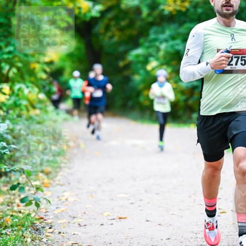 12.10.2025 - Bramfelder Halbmarathon 2025 Dr. Thomas Lammeyer http://msf.ph/oto/9352720 12.10.2025 10:44:36 Laufen 275 meine-sportfotos.de