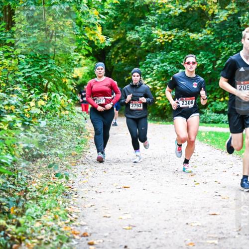 12.10.2025 - Bramfelder Halbmarathon 2025 Dr. Thomas Lammeyer http://msf.ph/oto/9352799 12.10.2025 10:44:54 Laufen 2807, 2793, 2308, 2092 meine-sportfotos.de