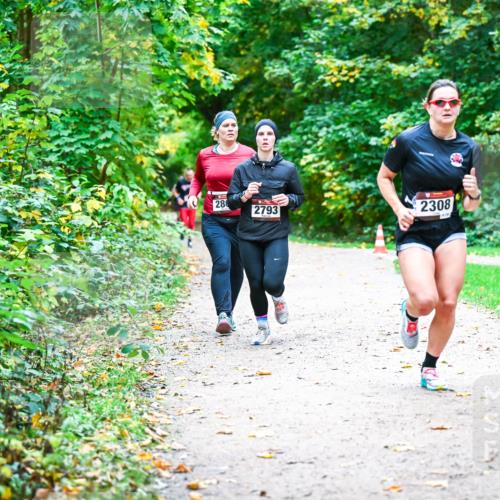 12.10.2025 - Bramfelder Halbmarathon 2025 Dr. Thomas Lammeyer http://msf.ph/oto/9352803 12.10.2025 10:44:54 Laufen 280, 2793, 2308, 209 meine-sportfotos.de