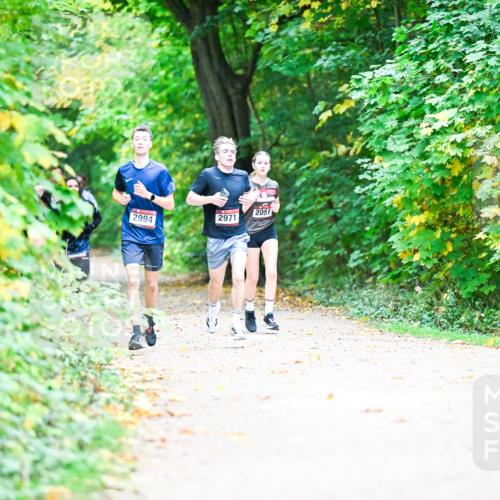 12.10.2025 - Bramfelder Halbmarathon 2025 Dr. Thomas Lammeyer http://msf.ph/oto/9352955 12.10.2025 10:45:27 Laufen 2994, 2051, 2971 meine-sportfotos.de