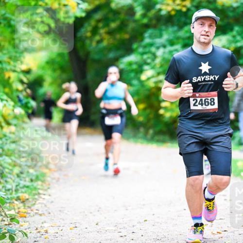 12.10.2025 - Bramfelder Halbmarathon 2025 Dr. Thomas Lammeyer http://msf.ph/oto/9353139 12.10.2025 10:46:00 Laufen 2468 meine-sportfotos.de