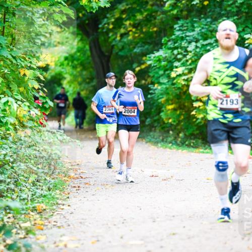 12.10.2025 - Bramfelder Halbmarathon 2025 Dr. Thomas Lammeyer http://msf.ph/oto/9353340 12.10.2025 10:46:40 Laufen 2193, 2685, 2369, 2004 meine-sportfotos.de
