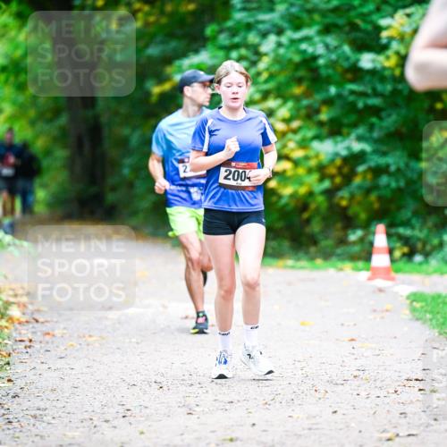 12.10.2025 - Bramfelder Halbmarathon 2025 Dr. Thomas Lammeyer http://msf.ph/oto/9353350 12.10.2025 10:46:41 Laufen 2, 2004 meine-sportfotos.de