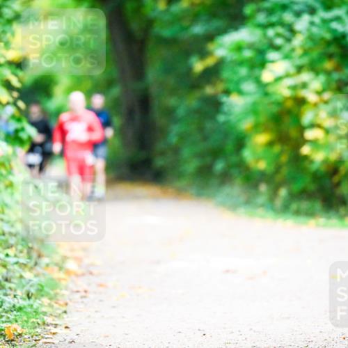12.10.2025 - Bramfelder Halbmarathon 2025 Dr. Thomas Lammeyer http://msf.ph/oto/9353361 12.10.2025 10:46:44 Laufen 2 meine-sportfotos.de
