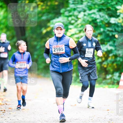 12.10.2025 - Bramfelder Halbmarathon 2025 Dr. Thomas Lammeyer http://msf.ph/oto/9353560 12.10.2025 10:47:19 Laufen 981, 2165 meine-sportfotos.de