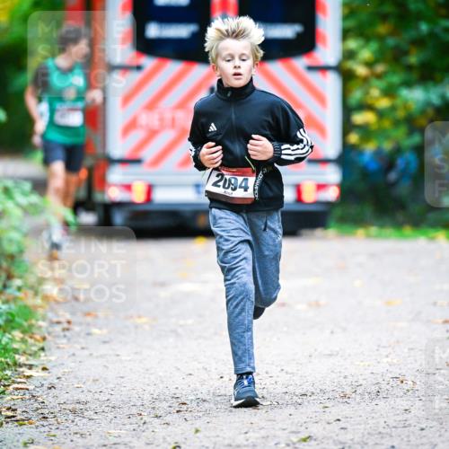 12.10.2025 - Bramfelder Halbmarathon 2025 Dr. Thomas Lammeyer http://msf.ph/oto/9353607 12.10.2025 10:47:37 Laufen 2094 meine-sportfotos.de