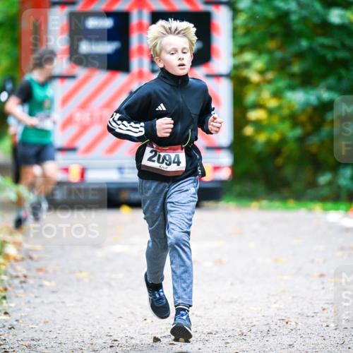 12.10.2025 - Bramfelder Halbmarathon 2025 Dr. Thomas Lammeyer http://msf.ph/oto/9353609 12.10.2025 10:47:38 Laufen 2094 meine-sportfotos.de