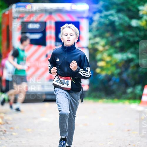 12.10.2025 - Bramfelder Halbmarathon 2025 Dr. Thomas Lammeyer http://msf.ph/oto/9353611 12.10.2025 10:47:38 Laufen 2094 meine-sportfotos.de