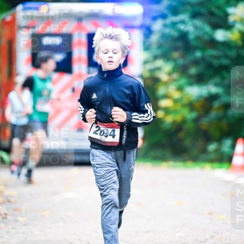 12.10.2025 - Bramfelder Halbmarathon 2025 Dr. Thomas Lammeyer http://msf.ph/oto/9353612 12.10.2025 10:47:38 Laufen 80, 2094 meine-sportfotos.de