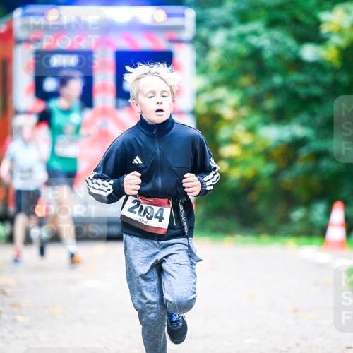12.10.2025 - Bramfelder Halbmarathon 2025 Dr. Thomas Lammeyer http://msf.ph/oto/9353613 12.10.2025 10:47:38 Laufen 2094 meine-sportfotos.de