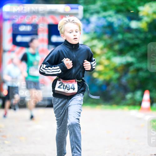12.10.2025 - Bramfelder Halbmarathon 2025 Dr. Thomas Lammeyer http://msf.ph/oto/9353614 12.10.2025 10:47:38 Laufen 2094 meine-sportfotos.de