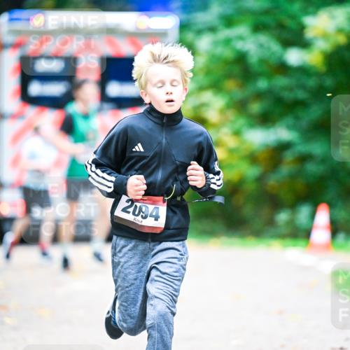 12.10.2025 - Bramfelder Halbmarathon 2025 Dr. Thomas Lammeyer http://msf.ph/oto/9353615 12.10.2025 10:47:38 Laufen 2094 meine-sportfotos.de
