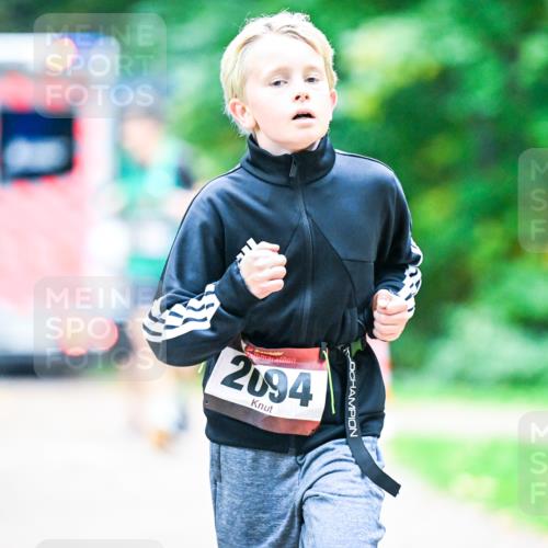 12.10.2025 - Bramfelder Halbmarathon 2025 Dr. Thomas Lammeyer http://msf.ph/oto/9353623 12.10.2025 10:47:40 Laufen 2094 meine-sportfotos.de