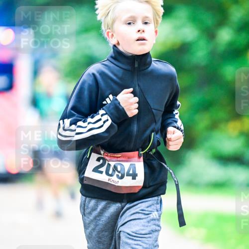 12.10.2025 - Bramfelder Halbmarathon 2025 Dr. Thomas Lammeyer http://msf.ph/oto/9353624 12.10.2025 10:47:40 Laufen 2094 meine-sportfotos.de