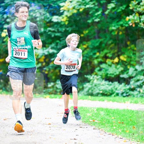 12.10.2025 - Bramfelder Halbmarathon 2025 Dr. Thomas Lammeyer http://msf.ph/oto/9353633 12.10.2025 10:47:42 Laufen 4, 2011, 2078 meine-sportfotos.de