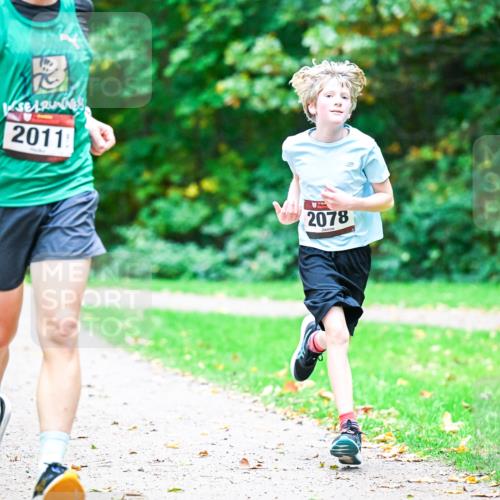 12.10.2025 - Bramfelder Halbmarathon 2025 Dr. Thomas Lammeyer http://msf.ph/oto/9353647 12.10.2025 10:47:44 Laufen 2011, 2078 meine-sportfotos.de