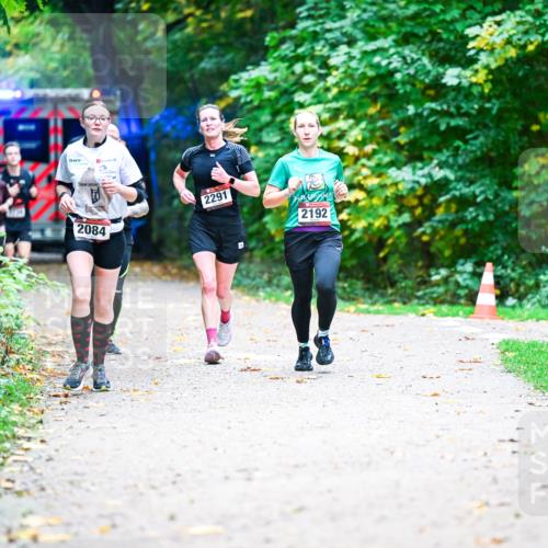 12.10.2025 - Bramfelder Halbmarathon 2025 Dr. Thomas Lammeyer http://msf.ph/oto/9353686 12.10.2025 10:47:54 Laufen 2084, 2291, 2192 meine-sportfotos.de