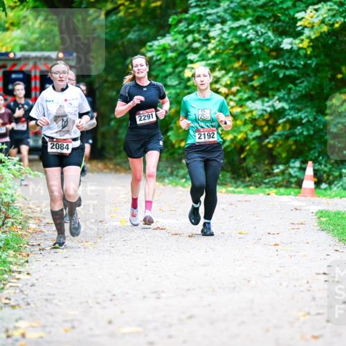 12.10.2025 - Bramfelder Halbmarathon 2025 Dr. Thomas Lammeyer http://msf.ph/oto/9353688 12.10.2025 10:47:55 Laufen 2084, 2291, 2192 meine-sportfotos.de