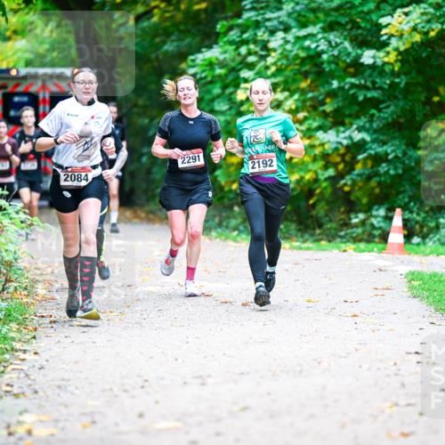 12.10.2025 - Bramfelder Halbmarathon 2025 Dr. Thomas Lammeyer http://msf.ph/oto/9353689 12.10.2025 10:47:55 Laufen 2291, 2084, 2192 meine-sportfotos.de