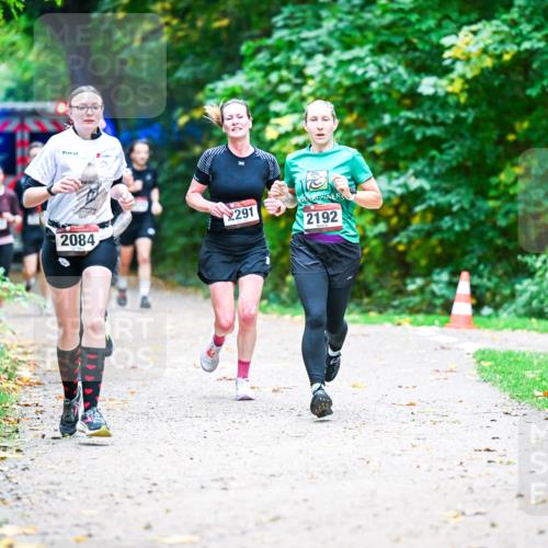 12.10.2025 - Bramfelder Halbmarathon 2025 Dr. Thomas Lammeyer http://msf.ph/oto/9353694 12.10.2025 10:47:56 Laufen 2291, 2084, 2192 meine-sportfotos.de