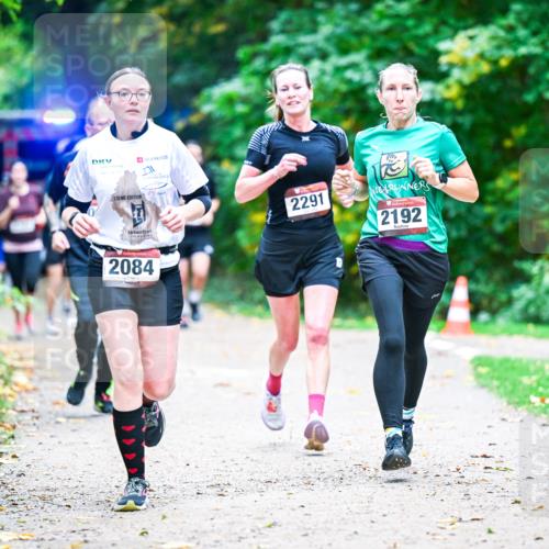 12.10.2025 - Bramfelder Halbmarathon 2025 Dr. Thomas Lammeyer http://msf.ph/oto/9353703 12.10.2025 10:47:57 Laufen 13, 2084, 2291, 2192 meine-sportfotos.de