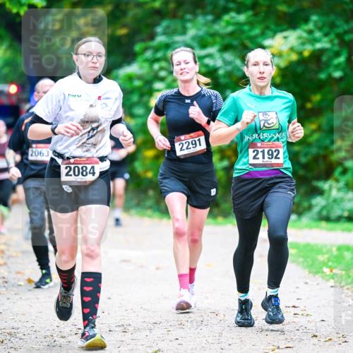 12.10.2025 - Bramfelder Halbmarathon 2025 Dr. Thomas Lammeyer http://msf.ph/oto/9353705 12.10.2025 10:47:57 Laufen 2063, 13, 2084, 2291, 2192 meine-sportfotos.de