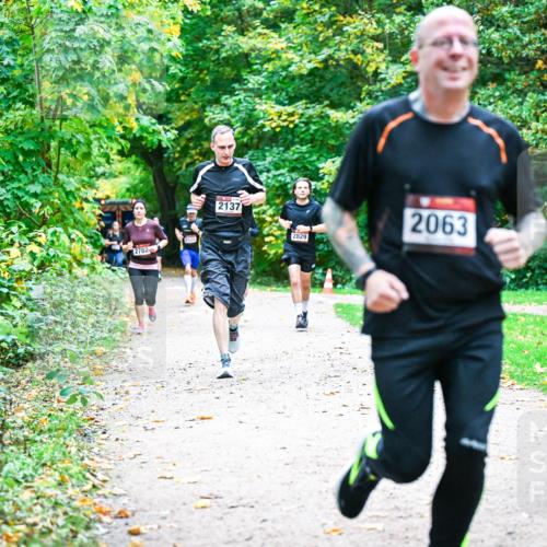 12.10.2025 - Bramfelder Halbmarathon 2025 Dr. Thomas Lammeyer http://msf.ph/oto/9353733 12.10.2025 10:48:02 Laufen 2782, 2137, 2829, 2063 meine-sportfotos.de