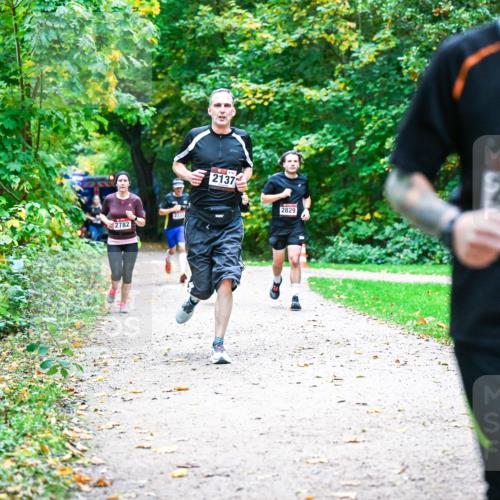 12.10.2025 - Bramfelder Halbmarathon 2025 Dr. Thomas Lammeyer http://msf.ph/oto/9353734 12.10.2025 10:48:02 Laufen 2782, 2137, 2829, 2063 meine-sportfotos.de