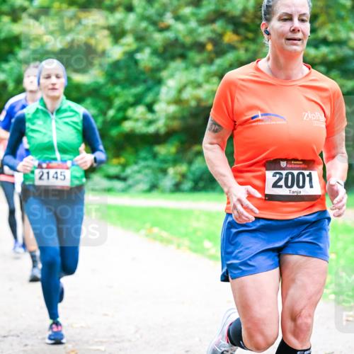 12.10.2025 - Bramfelder Halbmarathon 2025 Dr. Thomas Lammeyer http://msf.ph/oto/9353875 12.10.2025 10:48:29 Laufen 2145, 2025, 2001 meine-sportfotos.de