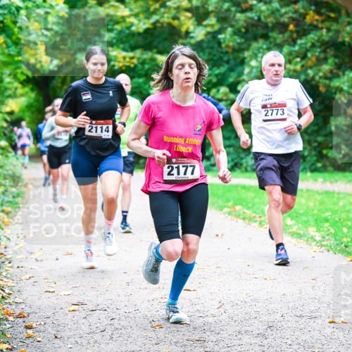 12.10.2025 - Bramfelder Halbmarathon 2025 Dr. Thomas Lammeyer http://msf.ph/oto/9353969 12.10.2025 10:48:47 Laufen 2114, 2177, 3340, 57, 2773 meine-sportfotos.de