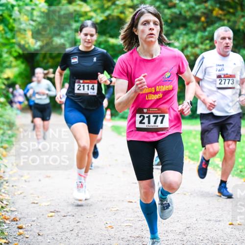 12.10.2025 - Bramfelder Halbmarathon 2025 Dr. Thomas Lammeyer http://msf.ph/oto/9353972 12.10.2025 10:48:47 Laufen 2114, 2773, 2177 meine-sportfotos.de