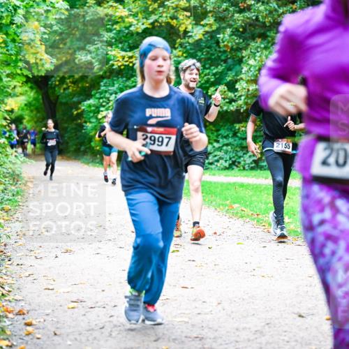 12.10.2025 - Bramfelder Halbmarathon 2025 Dr. Thomas Lammeyer http://msf.ph/oto/9354157 12.10.2025 10:49:24 Laufen 2997, 2155, 2095 meine-sportfotos.de