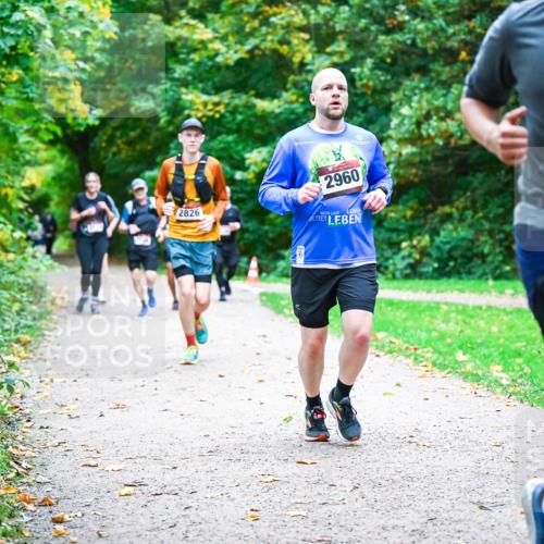 12.10.2025 - Bramfelder Halbmarathon 2025 Dr. Thomas Lammeyer http://msf.ph/oto/9354252 12.10.2025 10:49:41 Laufen 2826, 2960, 2890 meine-sportfotos.de