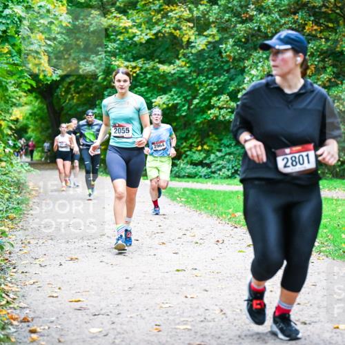 12.10.2025 - Bramfelder Halbmarathon 2025 Dr. Thomas Lammeyer http://msf.ph/oto/9354598 12.10.2025 10:50:47 Laufen 2055, 2964, 2801 meine-sportfotos.de