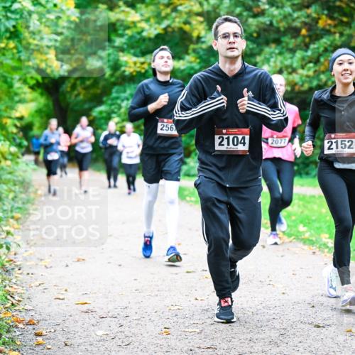 12.10.2025 - Bramfelder Halbmarathon 2025 Dr. Thomas Lammeyer http://msf.ph/oto/9354771 12.10.2025 10:51:22 Laufen 256, 2104, 2077, 2152 meine-sportfotos.de