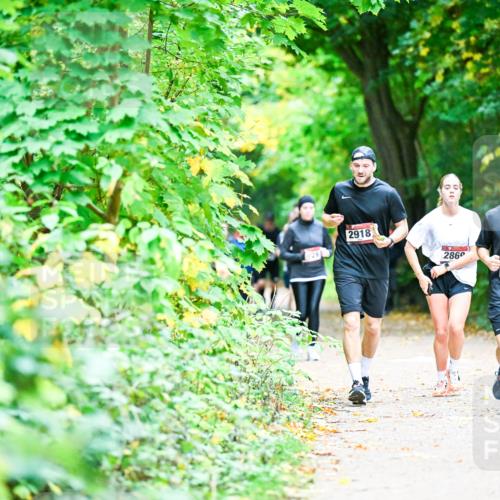 12.10.2025 - Bramfelder Halbmarathon 2025 Dr. Thomas Lammeyer http://msf.ph/oto/9355343 12.10.2025 10:53:30 Laufen 129, 2918, 286, 2848 meine-sportfotos.de