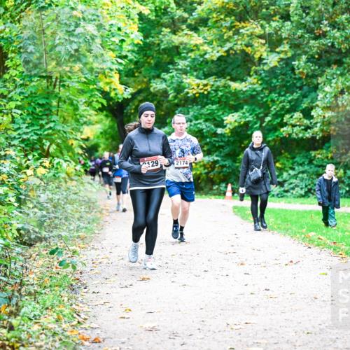 12.10.2025 - Bramfelder Halbmarathon 2025 Dr. Thomas Lammeyer http://msf.ph/oto/9355422 12.10.2025 10:53:44 Laufen 29, 2174 meine-sportfotos.de
