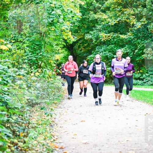 12.10.2025 - Bramfelder Halbmarathon 2025 Dr. Thomas Lammeyer http://msf.ph/oto/9355528 12.10.2025 10:54:04 Laufen 2035, 2017, 2146, 2276, 2033, 2464 meine-sportfotos.de