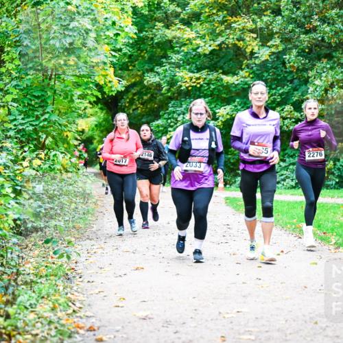 12.10.2025 - Bramfelder Halbmarathon 2025 Dr. Thomas Lammeyer http://msf.ph/oto/9355538 12.10.2025 10:54:06 Laufen 2017, 5, 2146, 2033, 2276 meine-sportfotos.de