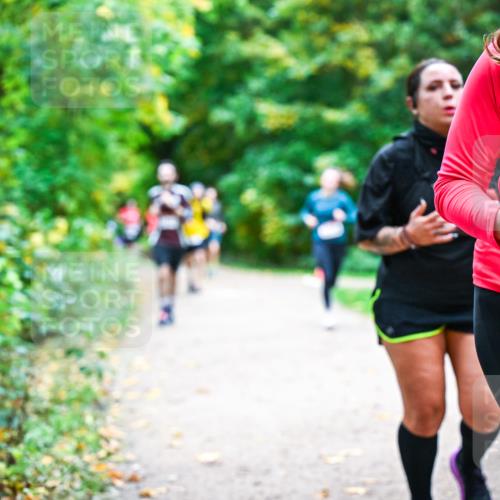12.10.2025 - Bramfelder Halbmarathon 2025 Dr. Thomas Lammeyer http://msf.ph/oto/9355570 12.10.2025 10:54:10 Laufen 2017 meine-sportfotos.de