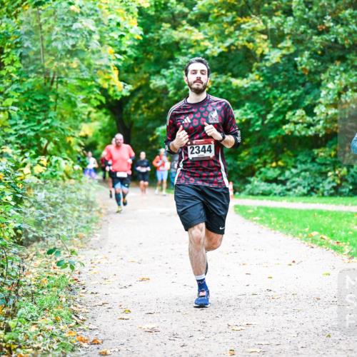 12.10.2025 - Bramfelder Halbmarathon 2025 Dr. Thomas Lammeyer http://msf.ph/oto/9355590 12.10.2025 10:54:13 Laufen 2344, 2378 meine-sportfotos.de