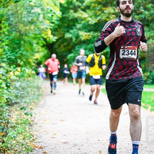 12.10.2025 - Bramfelder Halbmarathon 2025 Dr. Thomas Lammeyer http://msf.ph/oto/9355597 12.10.2025 10:54:14 Laufen 2344 meine-sportfotos.de