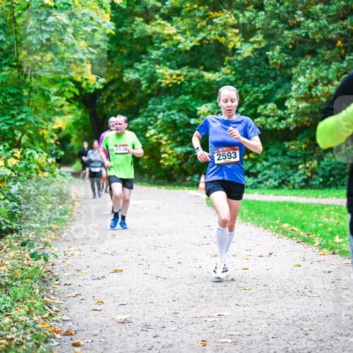 12.10.2025 - Bramfelder Halbmarathon 2025 Dr. Thomas Lammeyer http://msf.ph/oto/9355785 12.10.2025 10:54:50 Laufen 2538, 2593, 2038 meine-sportfotos.de