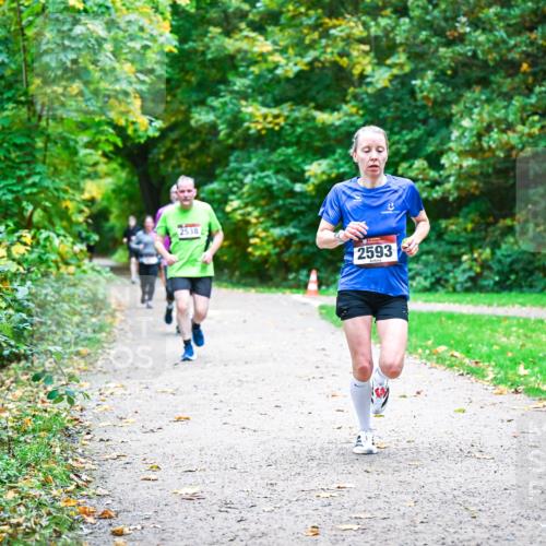 12.10.2025 - Bramfelder Halbmarathon 2025 Dr. Thomas Lammeyer http://msf.ph/oto/9355786 12.10.2025 10:54:50 Laufen 2538, 0, 2593 meine-sportfotos.de