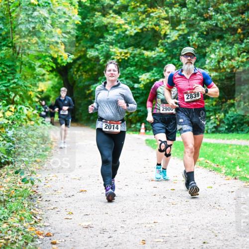 12.10.2025 - Bramfelder Halbmarathon 2025 Dr. Thomas Lammeyer http://msf.ph/oto/9355830 12.10.2025 10:54:58 Laufen 804, 2900, 2014, 00, 2839 meine-sportfotos.de